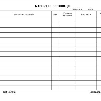 Raport producție, A4, carnet 100 file, imprimat tipizat, Darcom