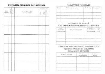 Fișă de instruire individuală privind securitatea și sănătatea în muncă, A5, carnet 8 file, imprimat tipizat, Darcom