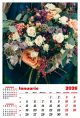 Calendar de perete 2026, Buchete, Darcom