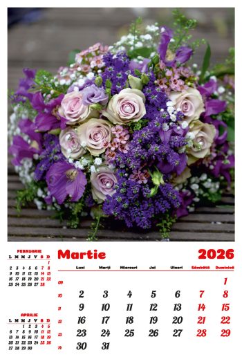 Calendar de perete 2026, Buchete, Darcom