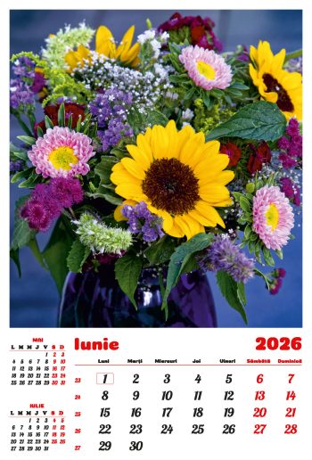 Calendar de perete 2026, Buchete, Darcom