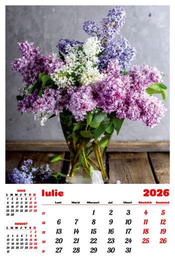 Calendar de perete 2026, Buchete, Darcom