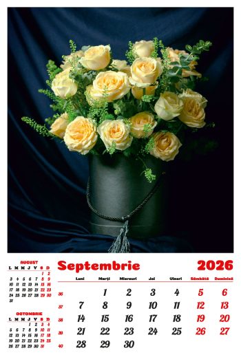 Calendar de perete 2026, Buchete, Darcom