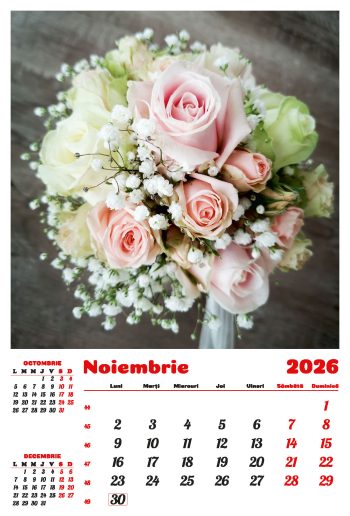 Calendar de perete 2026, Buchete, Darcom