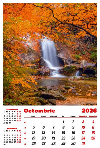 Calendar de perete 2026, Cascade, Darcom