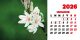 Calendar de birou 2026, Flori, Darcom