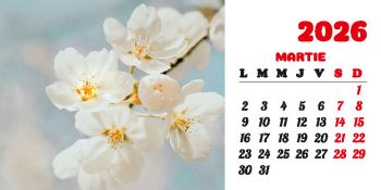 Calendar de birou 2026, Flori, Darcom