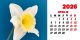 Calendar de birou 2026, Flori, Darcom