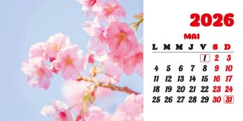 Calendar de birou 2026, Flori, Darcom
