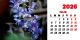 Calendar de birou 2026, Flori, Darcom