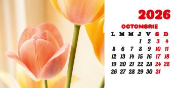 Calendar de birou 2026, Flori, Darcom