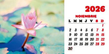 Calendar de birou 2026, Flori, Darcom