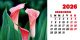 Calendar de birou 2026, Flori, Darcom