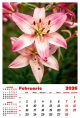 Calendar de perete 2026, Flori, Darcom