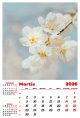 Calendar de perete 2026, Flori, Darcom