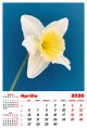 Calendar de perete 2026, Flori, Darcom