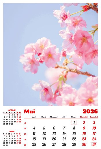 Calendar de perete 2026, Flori, Darcom