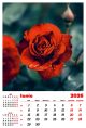 Calendar de perete 2026, Flori, Darcom