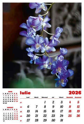 Calendar de perete 2026, Flori, Darcom