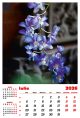 Calendar de perete 2026, Flori, Darcom