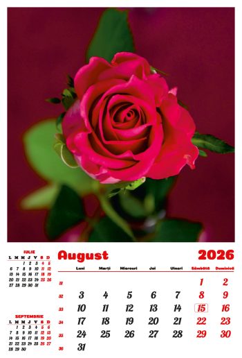 Calendar de perete 2026, Flori, Darcom