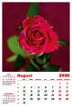 Calendar de perete 2026, Flori, Darcom