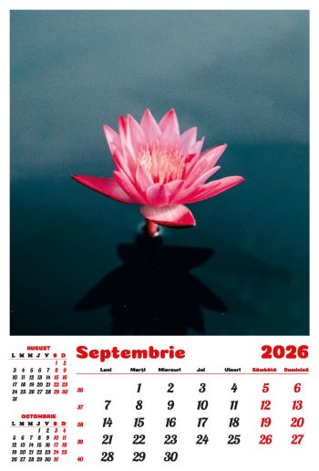 Calendar de perete 2026, Flori, Darcom