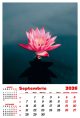 Calendar de perete 2026, Flori, Darcom