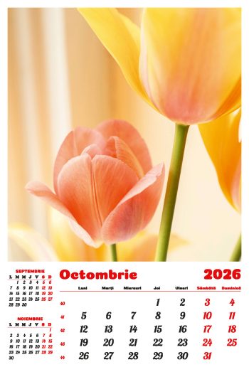 Calendar de perete 2026, Flori, Darcom
