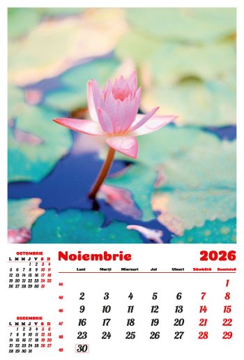 Calendar de perete 2026, Flori, Darcom
