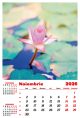 Calendar de perete 2026, Flori, Darcom