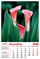 Calendar de perete 2026, Flori, Darcom
