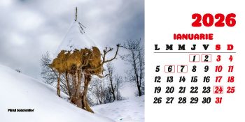 Calendar de birou 2026, Gorjul inedit, Darcom