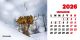 Calendar de birou 2026, Gorjul inedit, Darcom