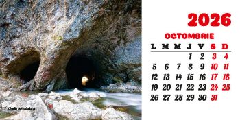 Calendar de birou 2026, Gorjul inedit, Darcom