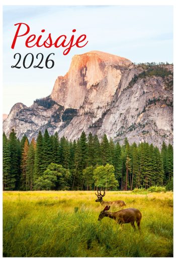 Calendar de perete 2026, Peisaje, Darcom