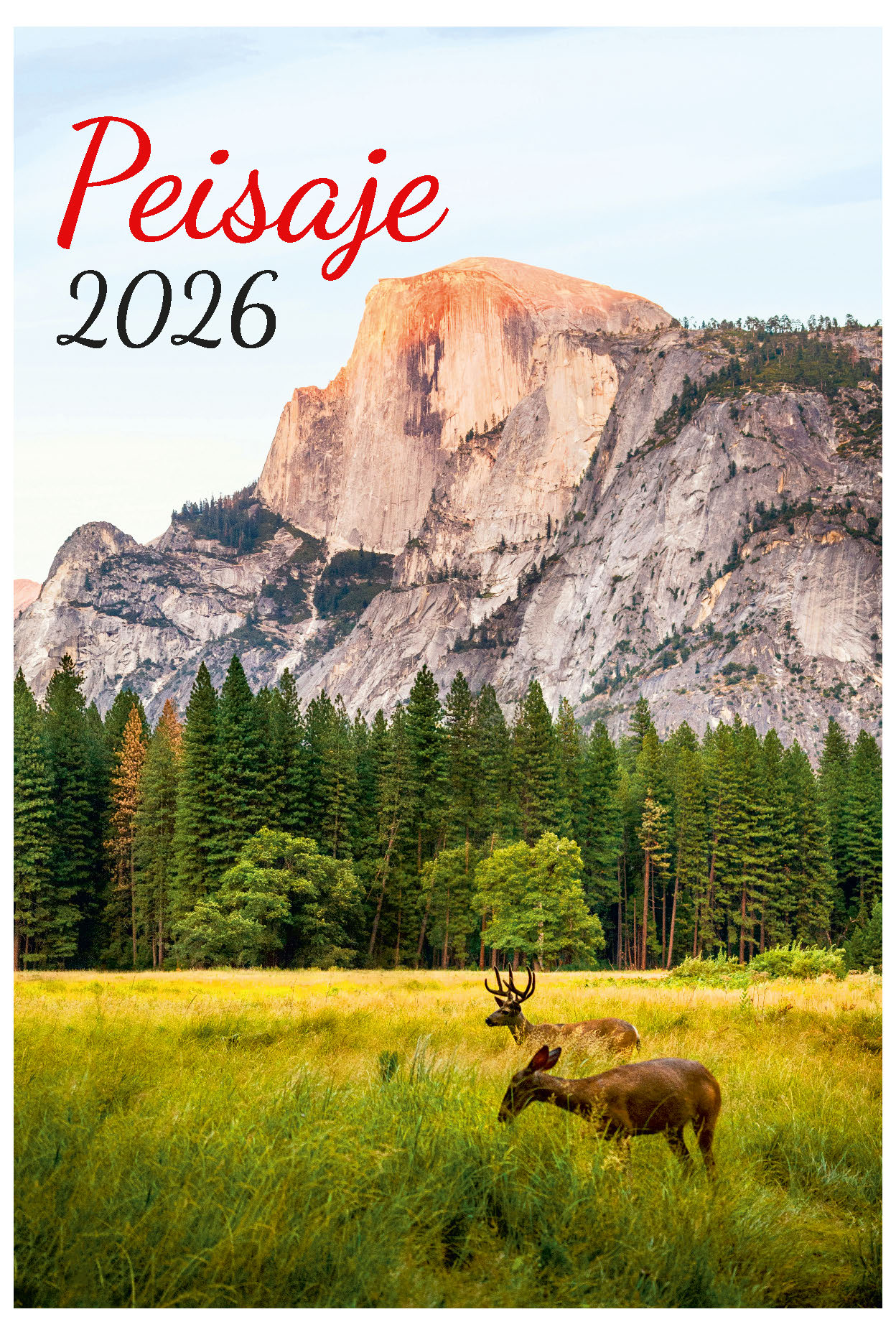 Calendar de perete 2026, Peisaje, Darcom