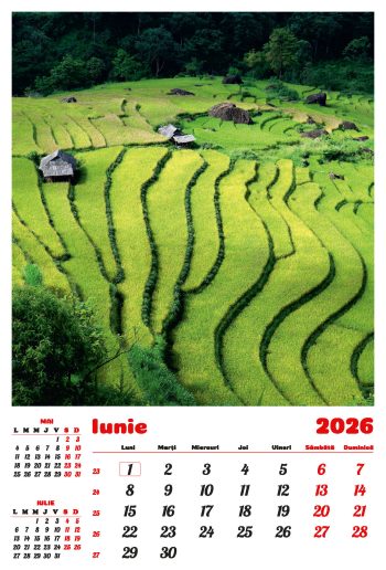 Calendar de perete 2026, Peisaje, Darcom