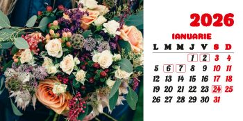 Calendar de birou 2026, Buchete, Darcom