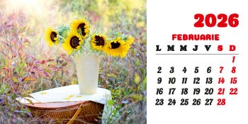 Calendar de birou 2026, Buchete, Darcom