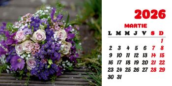 Calendar de birou 2026, Buchete, Darcom
