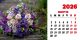 Calendar de birou 2026, Buchete, Darcom