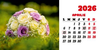 Calendar de birou 2026, Buchete, Darcom