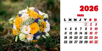 Calendar de birou 2026, Buchete, Darcom