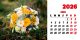 Calendar de birou 2026, Buchete, Darcom