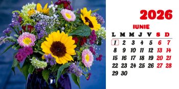 Calendar de birou 2026, Buchete, Darcom