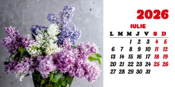 Calendar de birou 2026, Buchete, Darcom