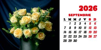 Calendar de birou 2026, Buchete, Darcom