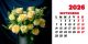 Calendar de birou 2026, Buchete, Darcom