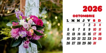 Calendar de birou 2026, Buchete, Darcom